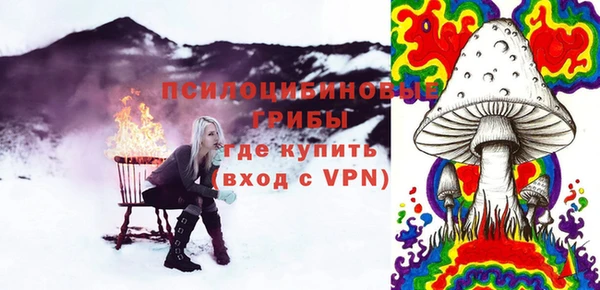 СК Арсеньев