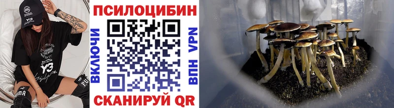 Галлюциногенные грибы GOLDEN TEACHER  Купить где  Питкяранта 